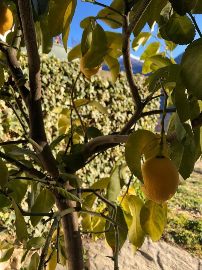 Agriturismo Cavria Bed and Breakfast Castione Andevenno Exterior foto